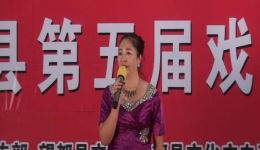 望都新颖调《父子情》选段第五届戏曲演唱会下载 望都新颖调《父子情》选段第五届戏曲演唱会下载