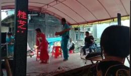 渔鼓戏《桂芝写状》全场资源下载，经典戏曲在线观看