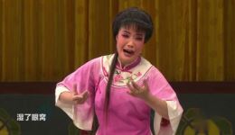 京剧《红高粱》杨金杰精彩演绎片段，展现热血抗争与家国情怀，速来下载！下载