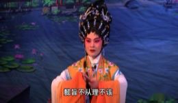 雷剧《狸猫换太子》第二三四场高清下载|经典宫廷大戏在线获取 雷剧《狸猫换太子》第二三四场高清下载|经典宫廷大戏在线获取
