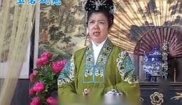 秦雪梅改嫁