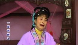 抚州采茶戏《一双苦娇儿》高清正版戏曲资源下载，地方非遗经典剧目在线观看