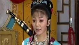 罗成下山
