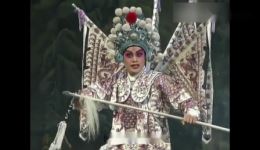 杨再兴勇闯小商河