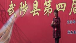 李彦龙征南