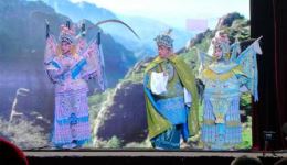保定老调《杨门女将》孙丽华主演，经典戏曲在线下载下载
