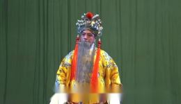 唐剧《朱元璋斩婿》选段下载｜杨光演绎历史反腐名篇，高清戏曲资源速取