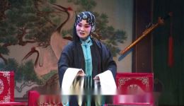 赵会珍隆尧秧歌《秦香莲》选段下载 - 非遗经典戏曲资源在线获取 赵会珍隆尧秧歌《秦香莲》选段下载 - 非遗经典戏曲资源在线获取