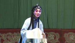 赵艳杰武安落子《卖妙郎》选段下载,经典孝道戏曲资源免费获取 赵艳杰武安落子《卖妙郎》选段下载,经典孝道戏曲资源免费获取
