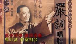 苏州评弹严调经典《杨乃武-密室相会》严雪亭弹词选曲在线下载