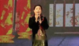 淮剧《金殿传》在线观看下载 - 许晴孙菊香等名家经典演绎下载