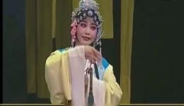玉蜻蜓