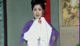 庐剧《还原配》1下载经典剧种，高清完整版在线获取！下载