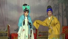 春花走雪