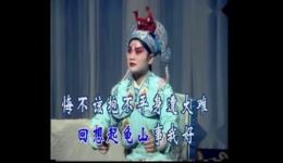 晋剧《蝴蝶杯》（藏舟）郭彩萍主演，老南三弦伴奏，经典戏曲片段在线下载