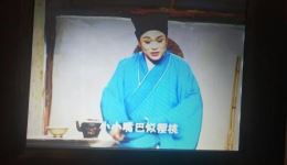庐剧经典剧目《王小》朱德顺精彩演绎下载