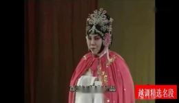 河南越调经典《火焚秀楼》袁秀莲精彩演绎,非遗越调传承剧目在线下载 河南越调经典《火焚秀楼》袁秀莲精彩演绎,非遗越调传承剧目在线下载