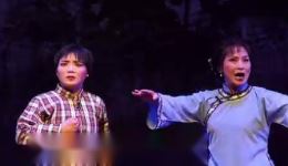 淮剧《训子》高清下载 柏华王爱云经典演绎 传统戏剧资源在线获取