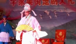 大访友