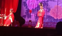黄梅戏《女驸马》全集下载,梅花奖得主王琴主演,经典戏曲资源速取 黄梅戏《女驸马》全集下载,梅花奖得主王琴主演,经典戏曲资源速取