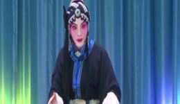 京剧《红鬃烈马 武家坡》何杰主演，经典戏曲资源下载下载