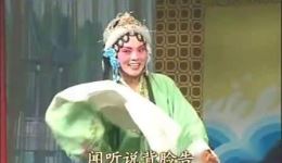 淮海戏名家名段《闻听说背脸告》吴玲演唱 经典唱腔在线收听下载