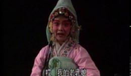 春秋配
