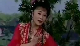 黄梅戏《牡丹亭》游园惊梦选段下载，文千岁李宝莹演绎，感受古典爱情之美下载