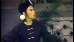 叶青林美照主演歌仔戏《杨家将》全集下载，风萧萧经典剧目在线获取下载