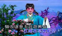 红梅记之白玉红梅