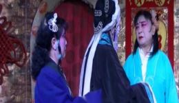 评剧《闯宫》戚美云主演，秦香莲寻夫闯宫，经典唱段在线下载下载
