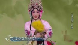 评剧《花为媒》片段高清下载｜罗惠琴王梦雅经典演绎，速领戏曲资源下载