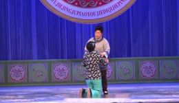 杨三姐告状