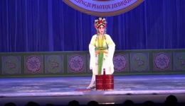 评剧《狸猫换太子》选段下载 王立国隋会民沈阳演出 经典戏曲资源下载