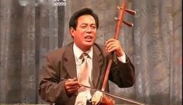 安徽琴书《妈妈训子》丁延果全场演唱,传统曲艺经典完整版在线收听 安徽琴书《妈妈训子》丁延果全场演唱,传统曲艺经典完整版在线收听