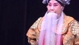 保定老调《两狼山》选段在线观看，韩文梅精彩演绎杨继业，经典戏曲不容错过