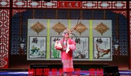 晋剧《小宴》高润荷郭派小生经典演绎，三国权谋戏曲在线观看下载下载