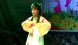 越剧《唐宛与陆游》小红楼版，蒋巧秀丁玲玲深情演绎，经典爱情悲剧在线观看下载下载