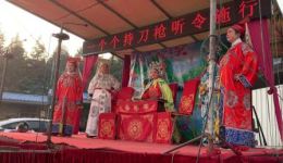 陆丁香