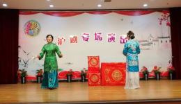 沪剧《陆雅臣》顾凤英王玲娟精彩表演，社区经典片段在线观看下载
