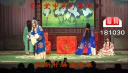 楚剧经典《二堂审子》葛琛主演，迓腔慢板演绎精彩，速来下载观赏下载