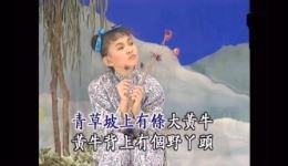 卓依婷经典民间小调《傻瓜与野丫头》在线下载，感受乡土风情