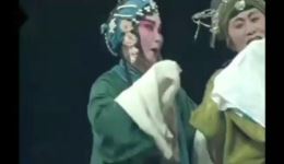 淮剧《探寒窑》华美琴裔小萍演唱唱段，经典淮剧在线畅听下载