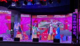 莆仙戏《飞花追月》黎明主演，经典戏曲资源下载，沉浸式感受传统艺术魅力下载