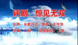 惊见无双