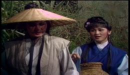 杨丽花歌仔戏《虎膽義魄》高清下载 | 1983台视经典历史传记戏曲资源