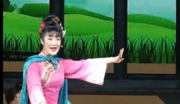 二人台非遗经典《探病》下载传统剧目完整资源，领略民间戏曲魅力下载