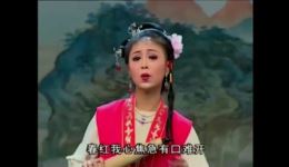 黄梅戏《挡轿》陈丹何云琚翔主演 经典戏曲在线观看下载下载
