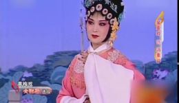 吴亚玲主演黄梅戏《女驸马》全集下载 - 经典戏曲资源在线观看下载