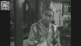 借亲配